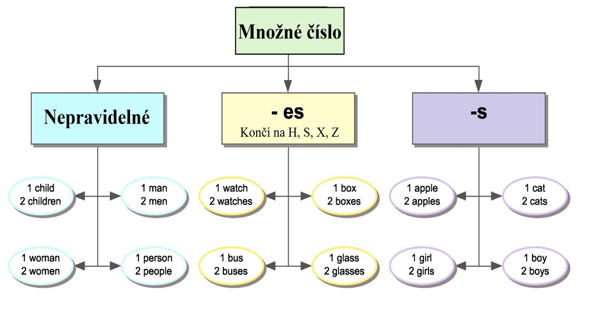 Množné číslo