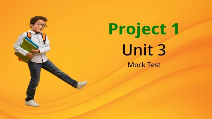 Project 1 Unit 3 Mock test