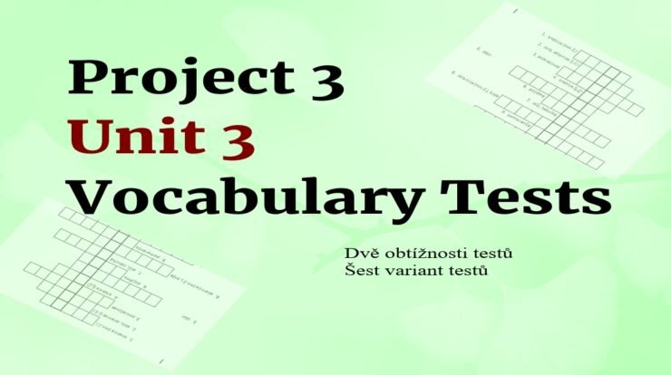 Project 3 Unit 3 vocabulary tests